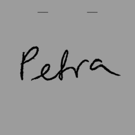 federico antonini 🚧  Petra